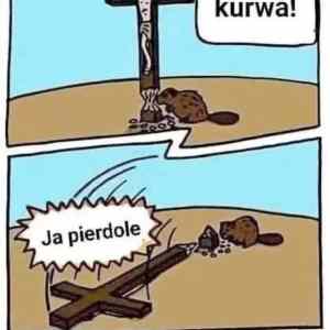 Obrázek 'bober kurwa jesus'