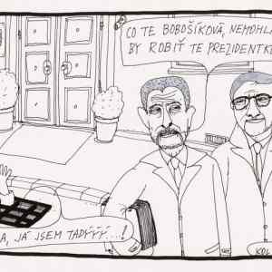 Obrázek 'bobosikova&nbsp;se&nbsp;vrati'