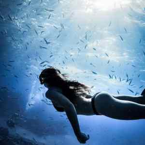 Obrázek 'bokorys&nbsp;prdelys'