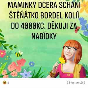 Obrázek 'bordel kolie'
