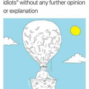 Obrázek 'both sides are idiots'