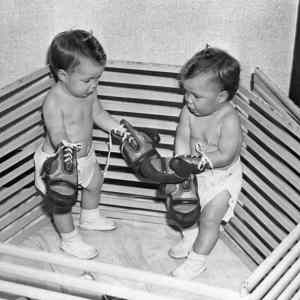 Obrázek 'boxkids'