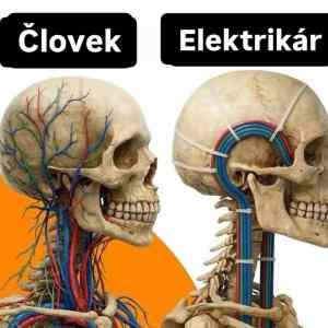 Obrázek 'brain&nbsp;management'