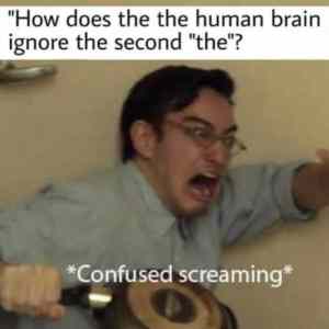 Obrázek 'brain vs eyes'