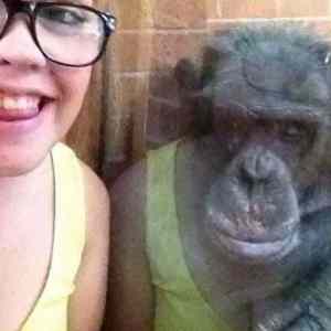 Obrázek 'bramonkey'