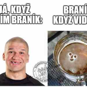 Obrázek 'branicek'