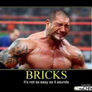Obrázek 'bricks-funny-shit'