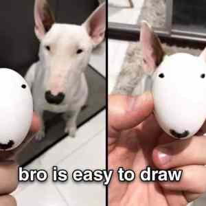 Obrázek 'bro is easy to draw'