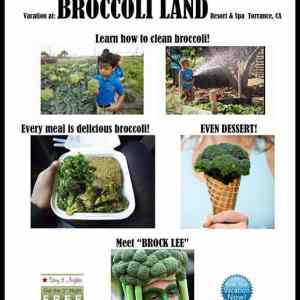 Obrázek 'broccoliland'