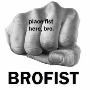 Obrázek 'brofist'