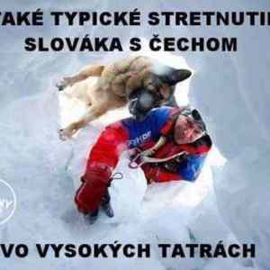 Obrázek 'brouci&nbsp;pytlici'