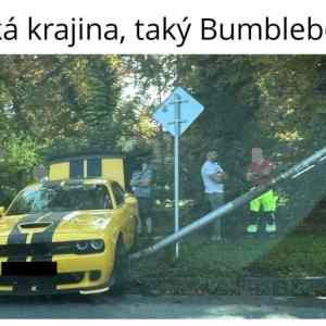 Obrázek 'bumblebeeeeee'