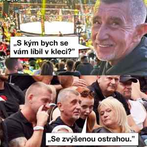 Obrázek 'bures v kleci'