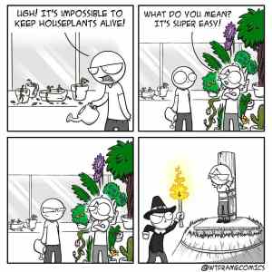 Obrázek 'burn the witch burn'