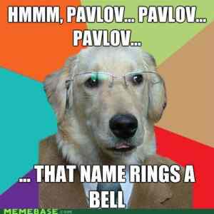 Obrázek 'business-dog-pavlov'