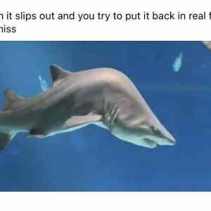 Obrázek 'butt miss'