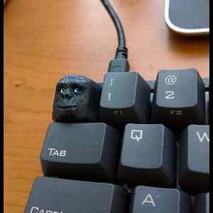 Obrázek 'button-gorilla'