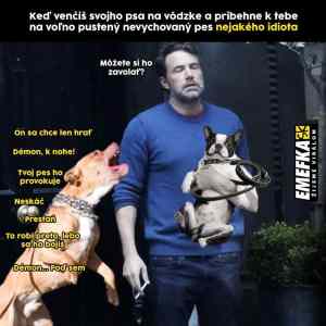 Obrázek 'byl to hodny pejsek vsechny zdravil'