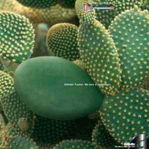 Obrázek 'cactus2009 5B1 5D'