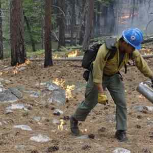 Obrázek 'californski hasici zakladaju ohne naschval'