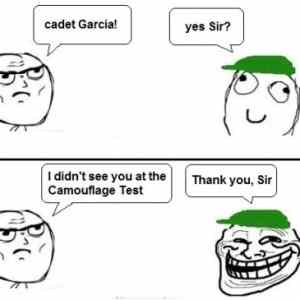 Obrázek 'camouflage test'