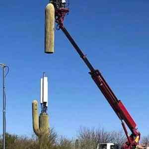 Obrázek 'camouflaged cell tower'