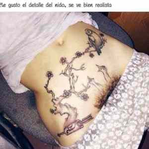 Obrázek 'capica bocianica'