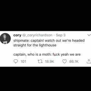 Obrázek 'captain moth'