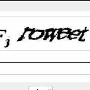 Obrázek 'captcha wtf'