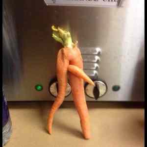 Obrázek 'carrot shemale'