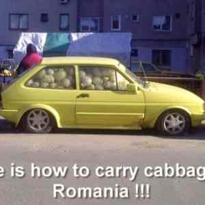 Obrázek 'carry cabbage in romania'