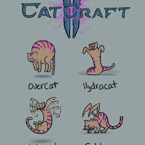 Obrázek 'cat-craft'
