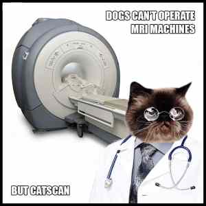 Obrázek 'catSCAN'