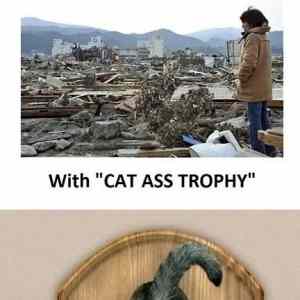 Obrázek 'cat a strophe'