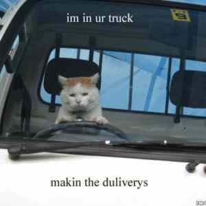 Obrázek 'cat and truck fixed'