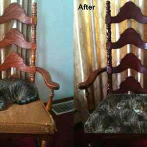 Obrázek 'cat before and after'