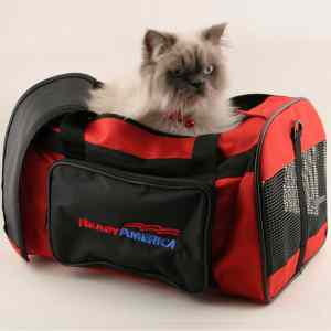 Obrázek 'cat evacuation kit'