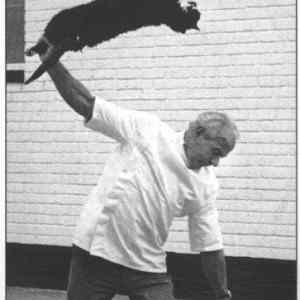 Obrázek 'cat resuscitating'