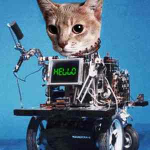 Obrázek 'cat robot'