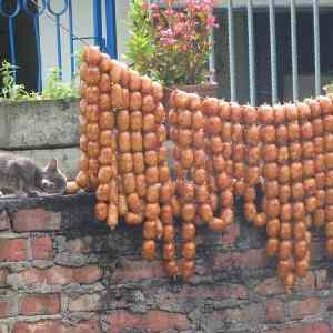 Obrázek 'cat stealing curd'
