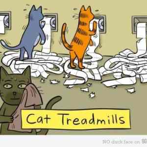 Obrázek 'cat treadmills'