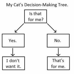 Obrázek 'cat tree'
