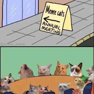 Obrázek 'cats&nbsp;meet'