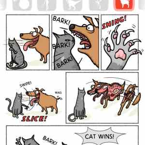 Obrázek 'catwins'