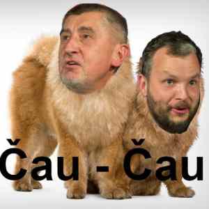 Obrázek 'cau-cau1'