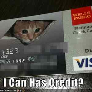 Obrázek 'ceiling-credit-card'