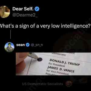 Obrázek 'celoplosny&nbsp;IQ&nbsp;test'