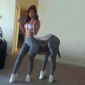 Obrázek 'centaur fixedfixedfixedfixedfixedfixed'