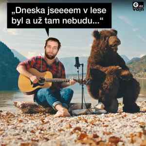 Obrázek 'cermak v lese'