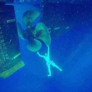 Obrázek 'cerny&nbsp;pasazer'